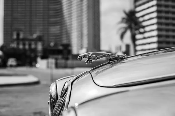 УейджърУеб Казино Android/iOS приложение